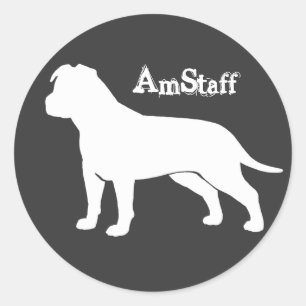 Sticker Rond AmStaff aux oreilles tombantes