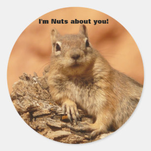 Sticker Rond Amusant écureuil de la Saint-Valentin