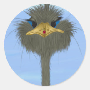 Sticker Rond Amusant Ostrich George Et Mignonne Ladybug
