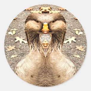 STICKER ROND AMUSEMENT ANIMAL