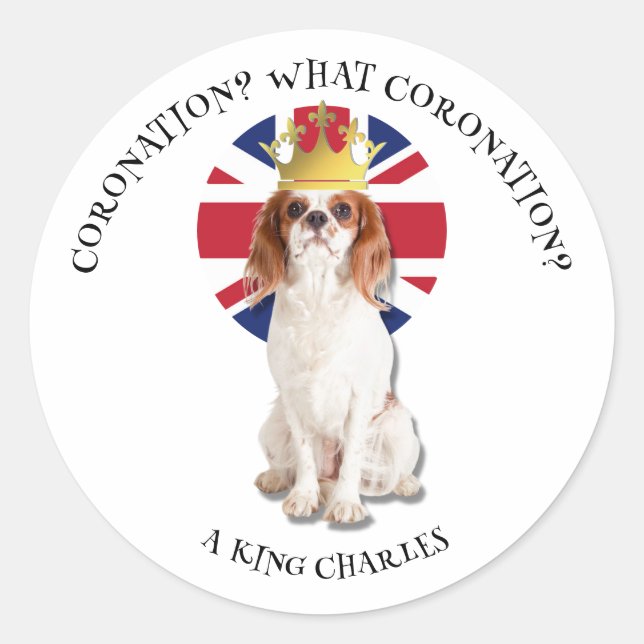 Sticker Rond AMUSER QUEL CORONNEMENT Roi Charles Spaniel (Devant)