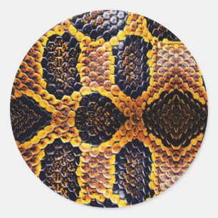 Sticker Rond Anaconda peau de serpent