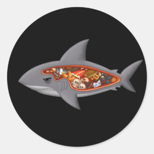Sticker Rond Anatomie des requins