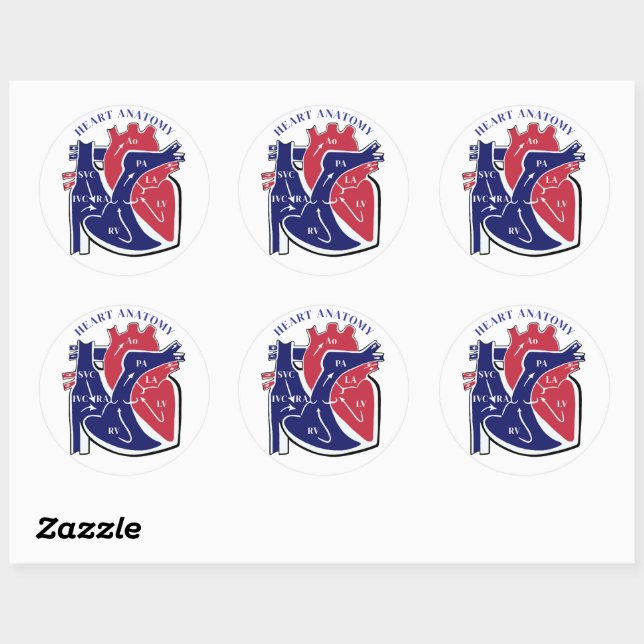 Sticker Rond Anatomie du cœur- (Feuille)