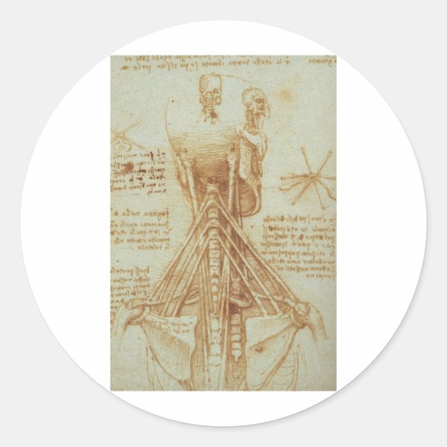 Sticker Rond Anatomie du cou par Léonard de Vinci c. 1515 (Devant)