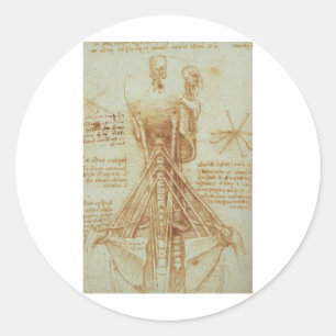 Sticker Rond Anatomie du cou par Léonard de Vinci c. 1515