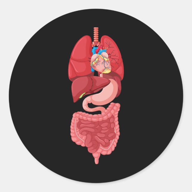 Sticker Rond Anatomie du diagramme d'organe interne d'Halloween (Devant)