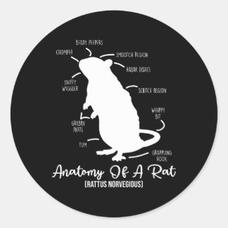 Sticker Rond Anatomie Du Rat Pour Tout Propriétaire De Rat Et D