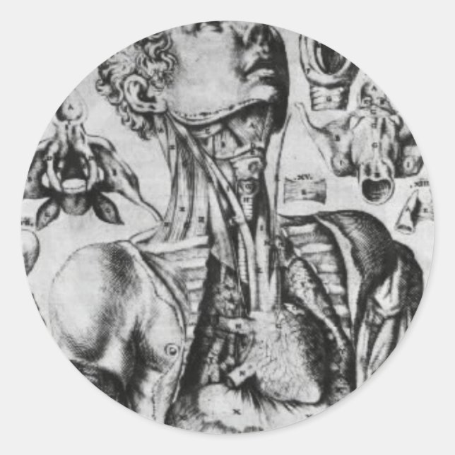 Sticker Rond anatomie du système respiratoire (Devant)
