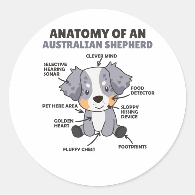 Sticker Rond Anatomie D'Un Berger Australien Chiens Doux (Devant)