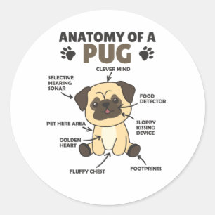 Sticker Rond Anatomie D'Un Carlin Chiens Doux Chiens Drôle Chio