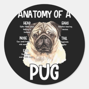 Sticker Rond Anatomie D'Un Carlin Pour Amoureux de les chiens