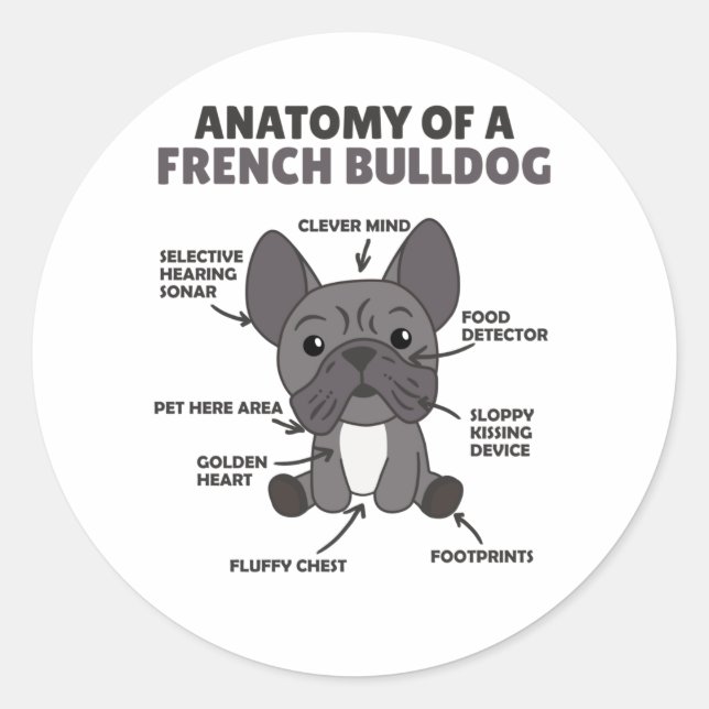 Sticker Rond Anatomie D'Un Chien De Chien De Chien Français Drô (Devant)