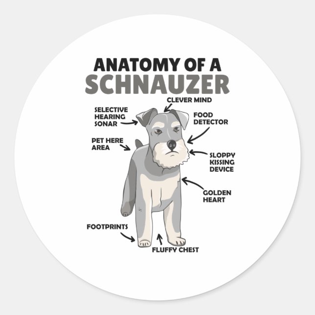 Sticker Rond Anatomie D'Un Chien Migneux Schnauzer Chien Chien  (Devant)