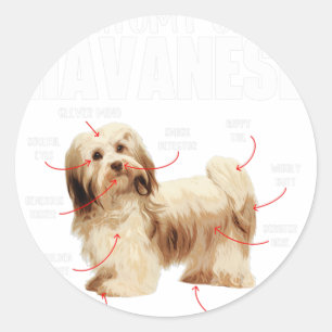 Sticker Rond Anatomie D'Un Havanais - Havaneser Cubain Havanese