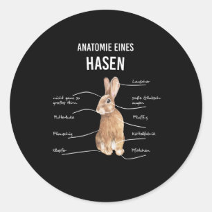 Sticker Rond Anatomie D'Un Lapin Lapin De Lapin De Lièvre