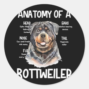 Sticker Rond Anatomie d'un Rottweiler pour les amoureux des chi
