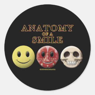 Sticker Rond Anatomie d'un sourire