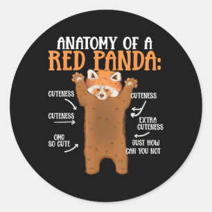 Sticker Rond Anatomie D'Un Zoologiste Scientifique Panda Rouge