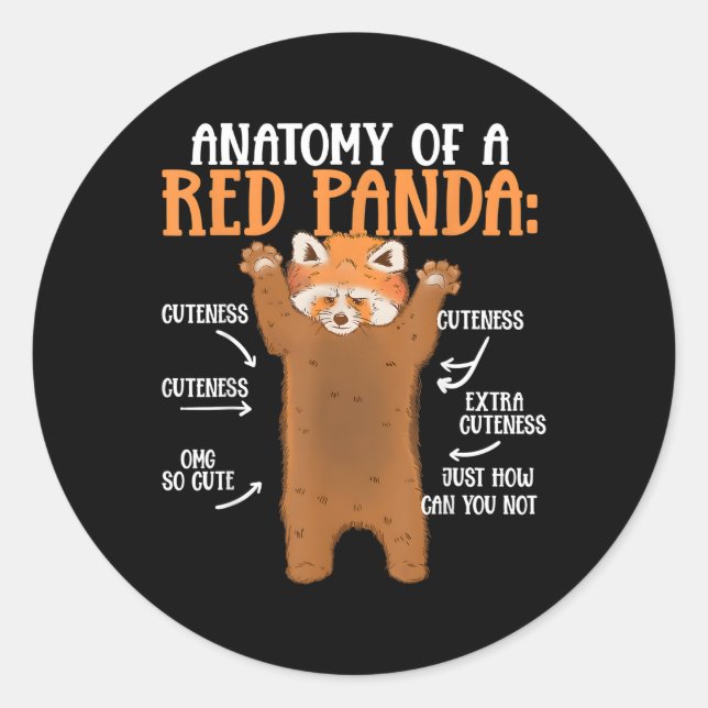 Sticker Rond Anatomie D'Un Zoologiste Scientifique Panda Rouge (Devant)