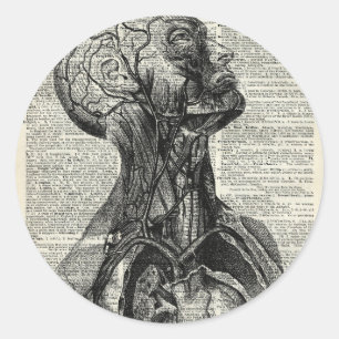 Sticker Rond Anatomie humaine Médicale