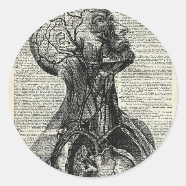 Sticker Rond Anatomie humaine Médicale (Devant)