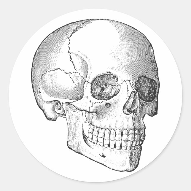 Sticker Rond Anatomie Médicale dessin vintage crâne monochrome (Devant)
