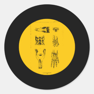 Sticker Rond Anchisaure et Ammosaure