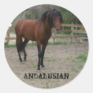 Sticker Rond andalou
