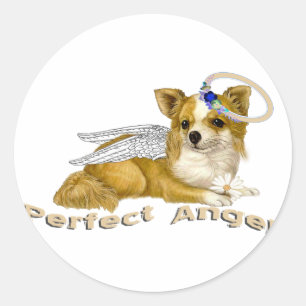Sticker Rond Ange parfait de chiwawa