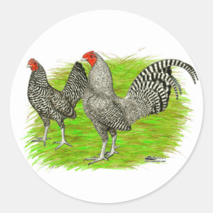 Sticker Rond Anglais poulets barrés vieux par jeu
