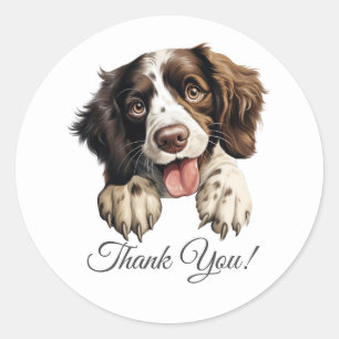 Sticker Rond Anglais Springer Spaniel Chien Merci