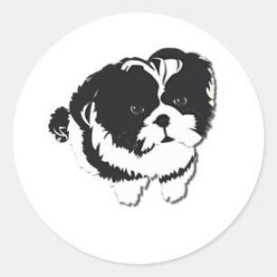 Sticker Rond Animal familier blanc noir de chien de Shih Tzu