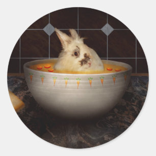 Sticker Rond Animal - Lapin - Il y a un lièvre dans ma soupe