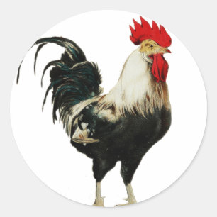 Sticker Rond Animal vintage de personnaliser de poulet de coq