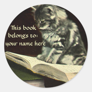 Sticker Rond Animal vintage, Kitten Lire une plaque de livre