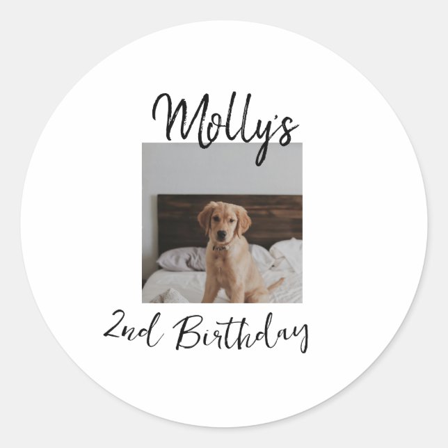 Sticker Rond Animateur chien chat animal photo moderne simple (Devant)
