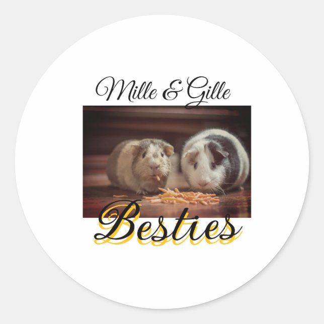 Sticker Rond Animaux de compagnie amis besties ajouter nom anim (Devant)