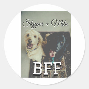 Sticker Rond Animaux de compagnie amis besties ajouter nom anim