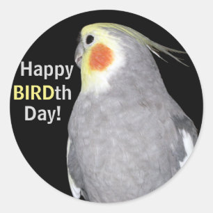 Sticker Rond Animaux de compagnie Cockatiel Photo Joyeux OISEAU