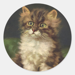 Sticker Rond Animaux de compagnie vintage, chaton rayé tabby mi