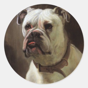 Sticker Rond Animaux de compagnie vintage, portrait de chien Bo
