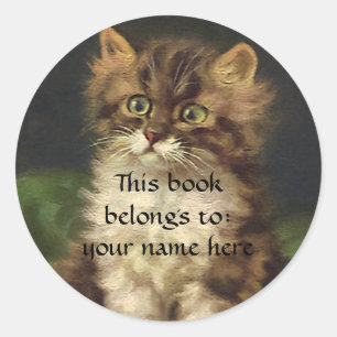 Sticker Rond Animaux de compagnie vintages, Tabby Chat Kitten P