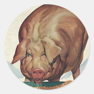Sticker Rond Animaux de ferme vintages, Cochon mangeant à un tr