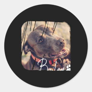 Sticker Rond Animaux Domestiques Moderne Simple Cool Nge Nom Et