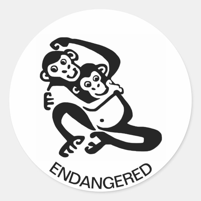 Sticker Rond Animaux sauvages - BONOBO Cool - Chimpanzé - Afriq (Devant)