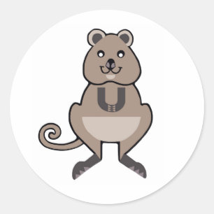 Sticker Rond Animaux sauvages - Cute QUOKKA - Faune - Écologie