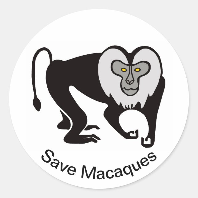 Sticker Rond Animaux sauvages - Save MACAQUES - Nature - (Devant)