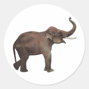 Sticker Rond Animaux sauvages vintage, Éléphants d'Asie bonne c