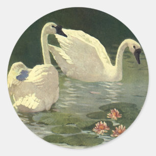 Sticker Rond Animaux sauvages vintages Oiseaux, Cygnes blancs v